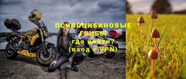 гидра Армянск