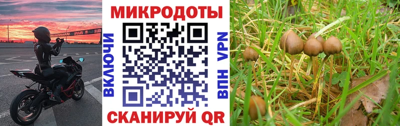 Псилоцибиновые грибы Magic Shrooms Балахна