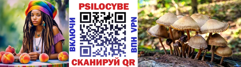 Галлюциногенные грибы Cubensis где продают наркотики Балахна